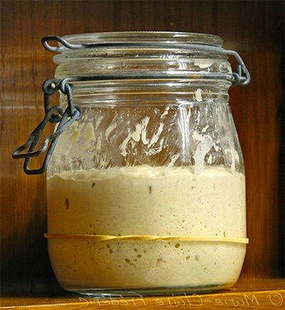 levain pain